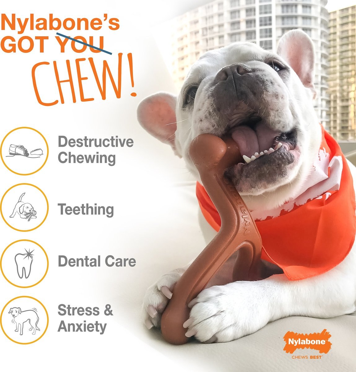 Nylabone Power Chew Flavor Frenzy Cheesesteak Flavored Dog Chew Toy