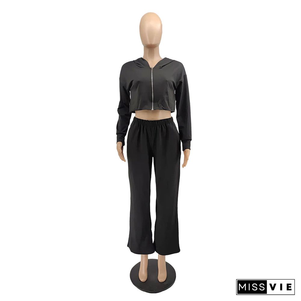 Thicken Zip Hooded Crop Top Wide Leg Pants Set