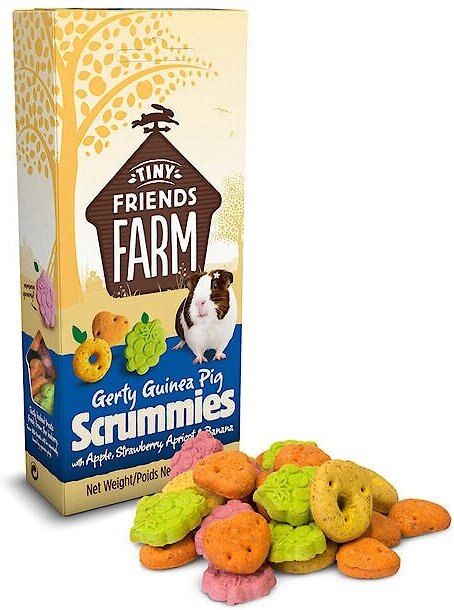 Tiny Friends Farm Gerty Scrummies Guinea Pig Treats， 4.2-oz bag