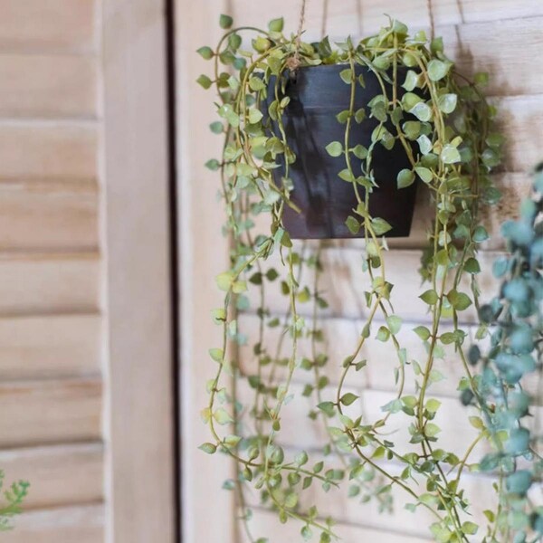 RusticReach Hanging Faux Ceropegia Vine in Pot