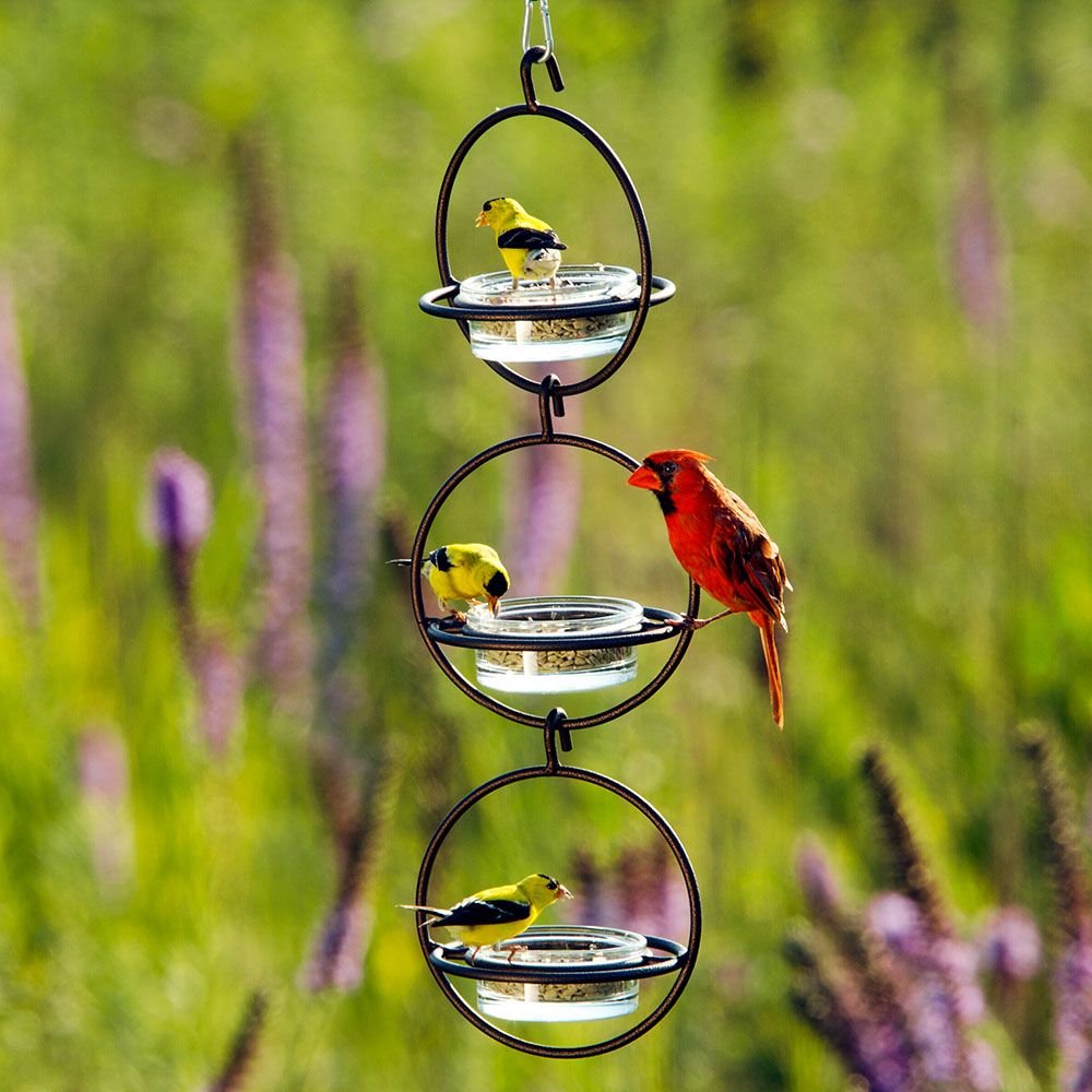 Mosaic Birds Hummble Bold Bird Feeder， Cooper