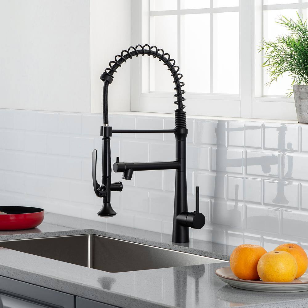 Boyel Living Single-Handle Gooseneck Pull-Down Sprayer Kitchen Faucet with Pot Filler and Water Supply Lines in Matte Black BM2010B