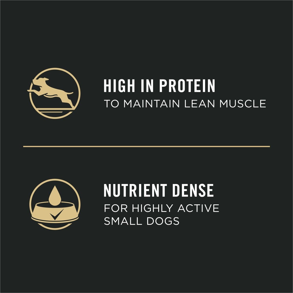 Purina Pro Plan Focus Small Breed Beef Entree Grain-Free Wet Dog Food