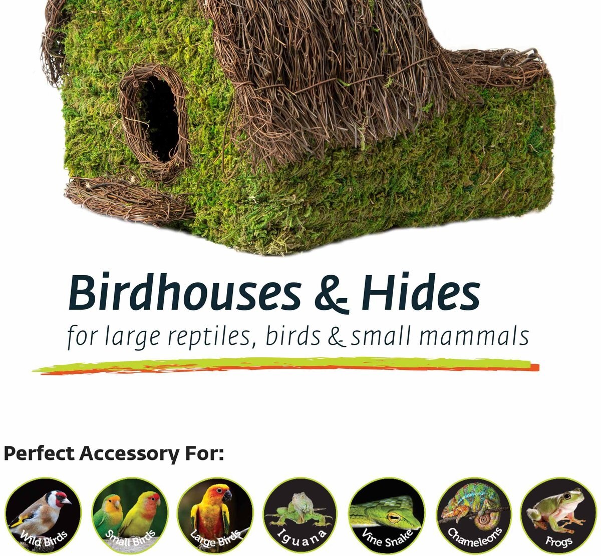 Galapagos Plantable Maison Birdhouse， Fresh Green