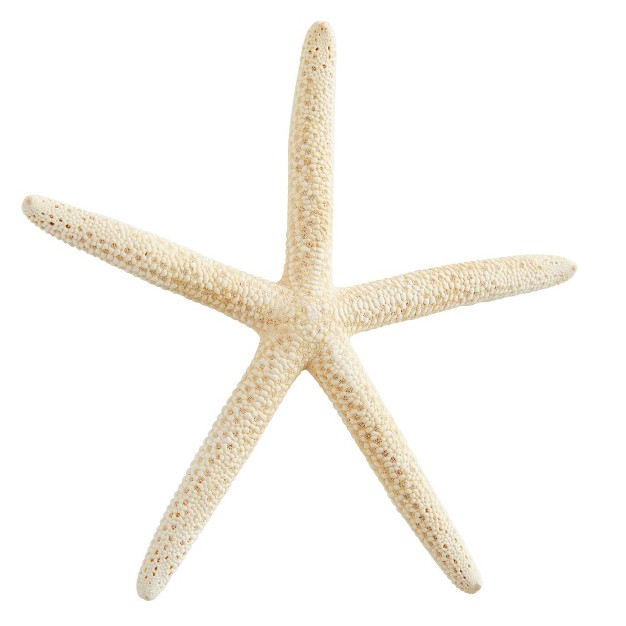 Juvale 12 Pack White Finger Starfish For Nautical D cor Vase Filler Craft Supplies 4 To 6 In