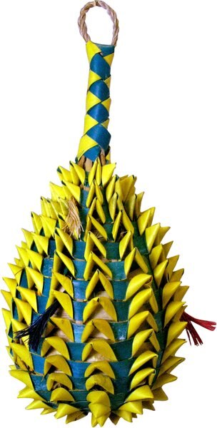 Planet Pleasures Pineapple Foraging Bird Toy， Color Varies