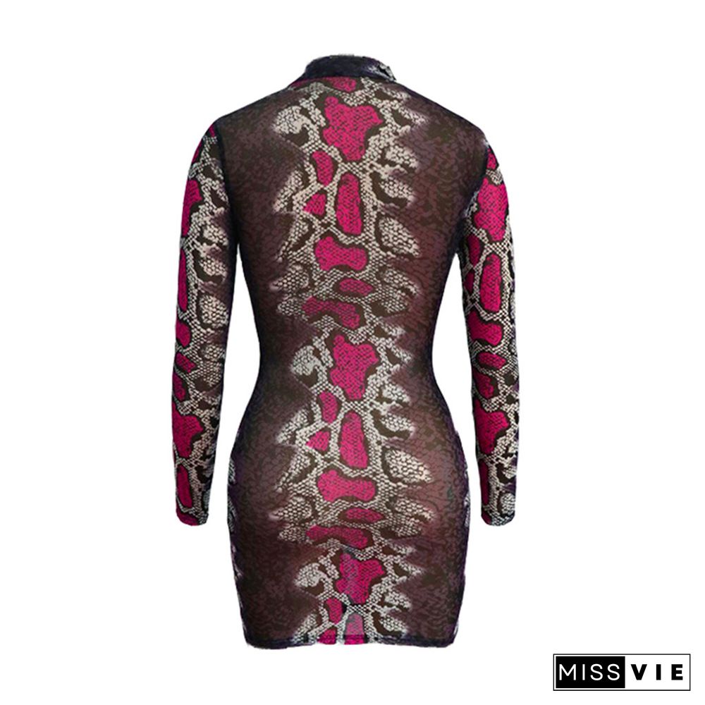 Snakeskin Mesh Sheer Long Sleeve Bodycon Dress