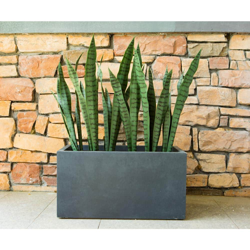 KANTE 31 in. L Rectangular Charcoal Concrete/Fiberglass Indoor Outdoor Modern Planter OSF0104B-C60121