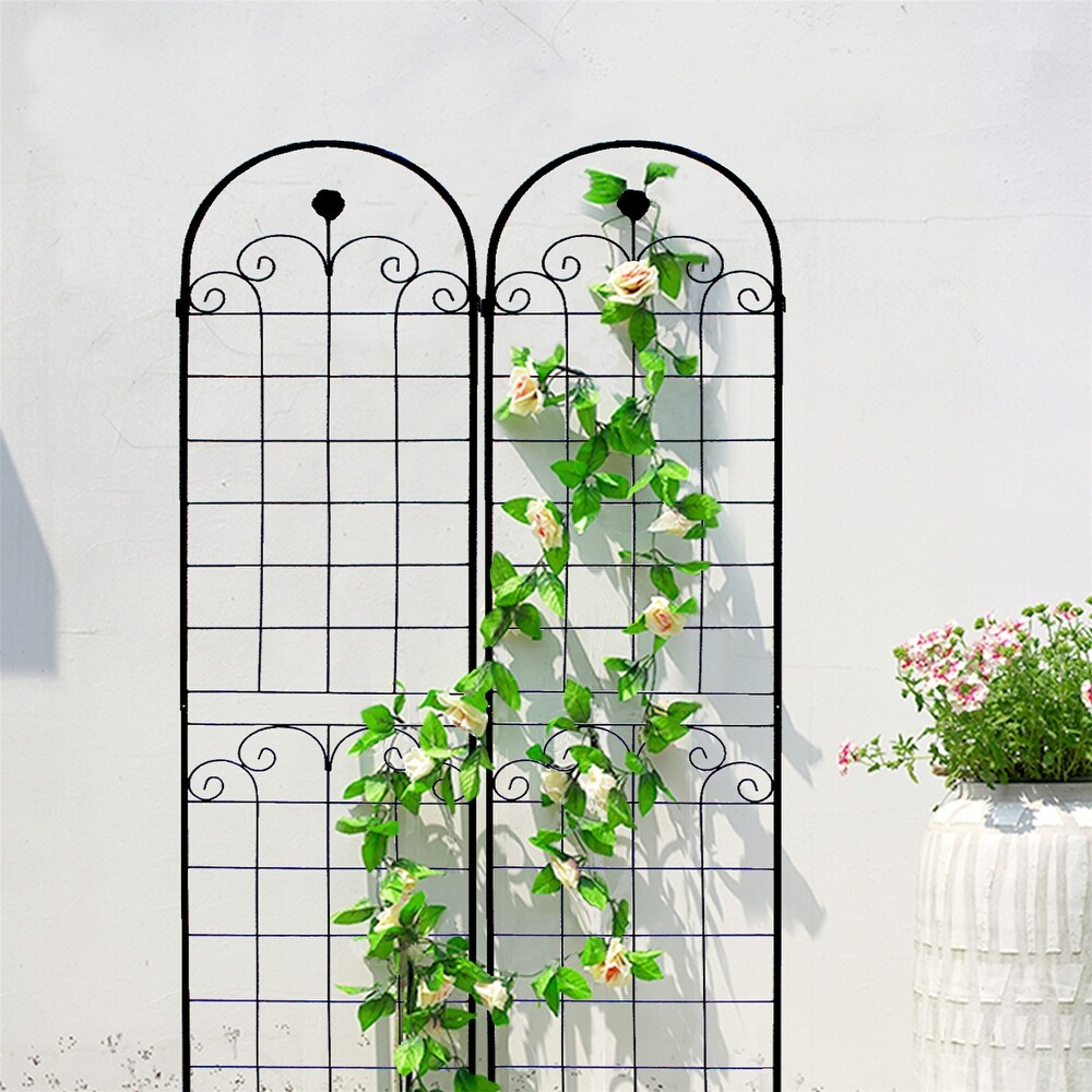 Black 2 Pack Metal Garden Trellis for Climbing Plants Outdoor