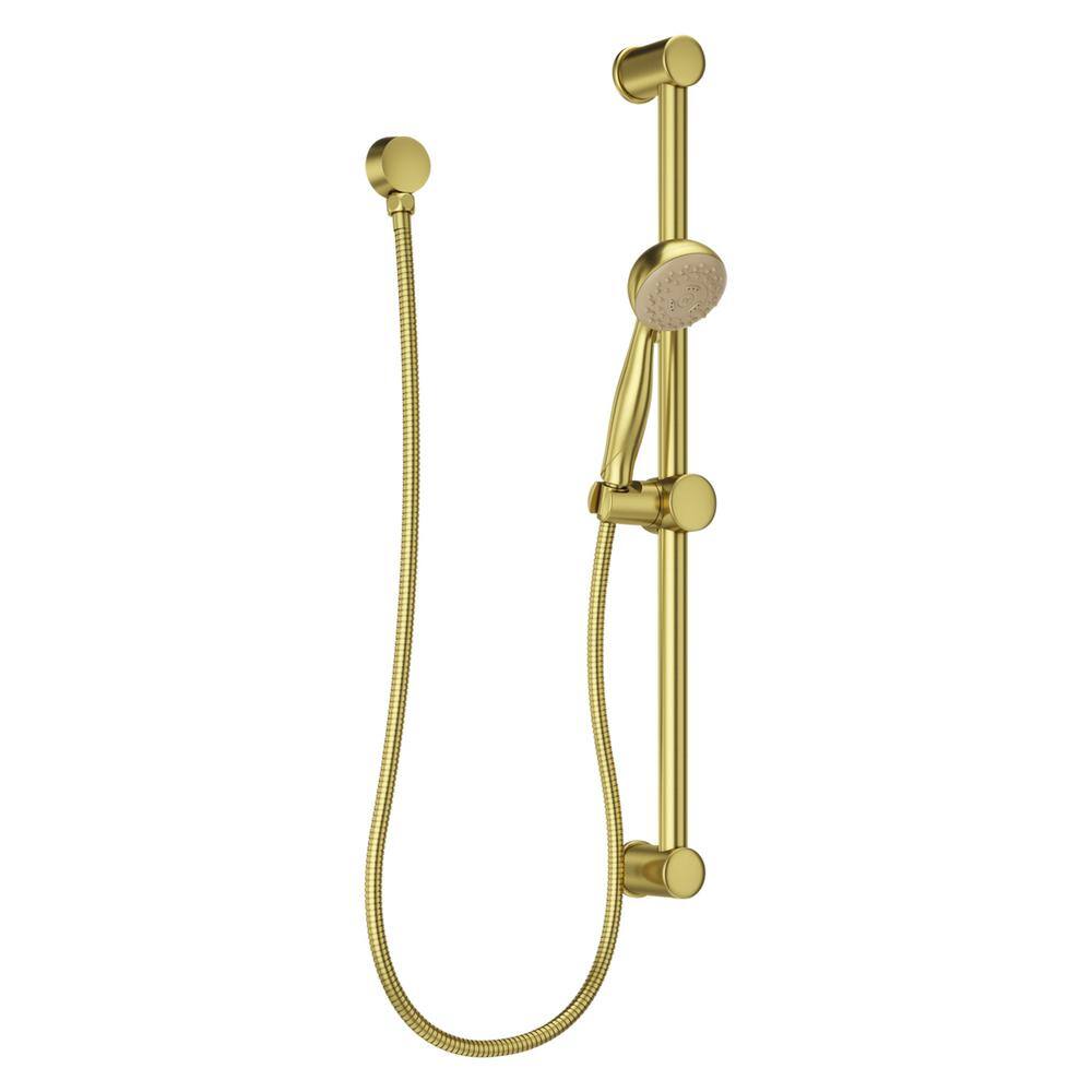 Pfister 3-Spray Hand Shower with Wall Bar in Brushed Gold LG16-300BG