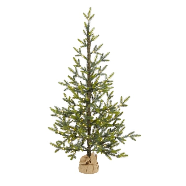 4' Fraser Fir Natural Look Christmas Tree with 100 Clear LED Lights