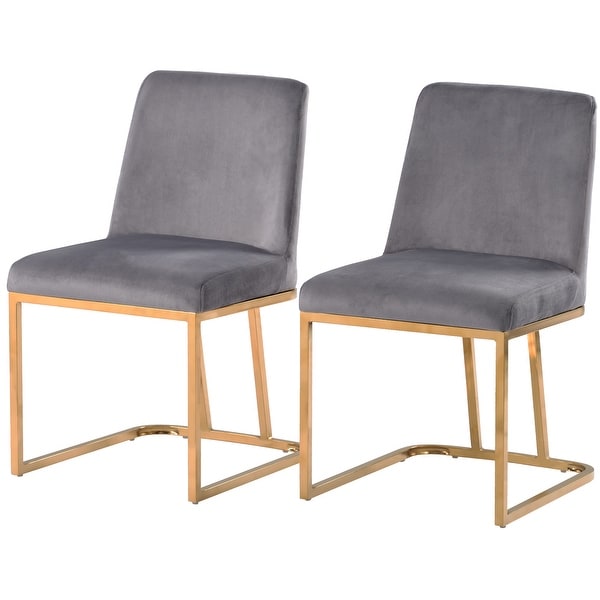 Modern Minimalist Velvet Dining Chairs Accent Chairs Set of 2