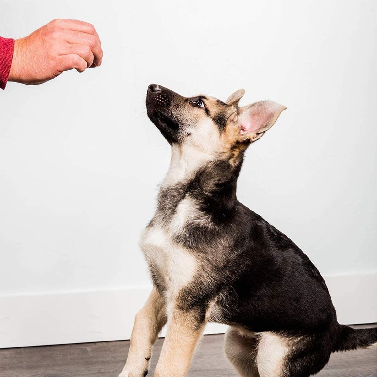 Pupford Beef Liver Training Freeze-Dried Dog Treats