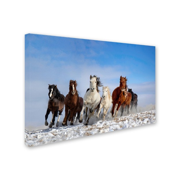 Trademark Fine Art libby Zhang x27 mongolia Horses x27 Canvas Art