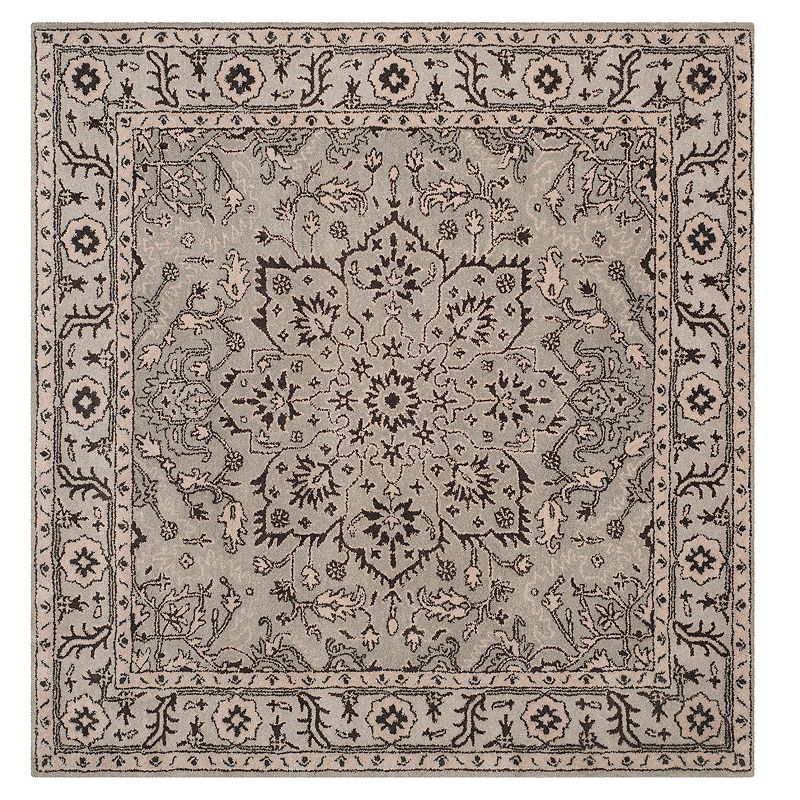 Safavieh Antiquity Winona Framed Floral Wool Rug