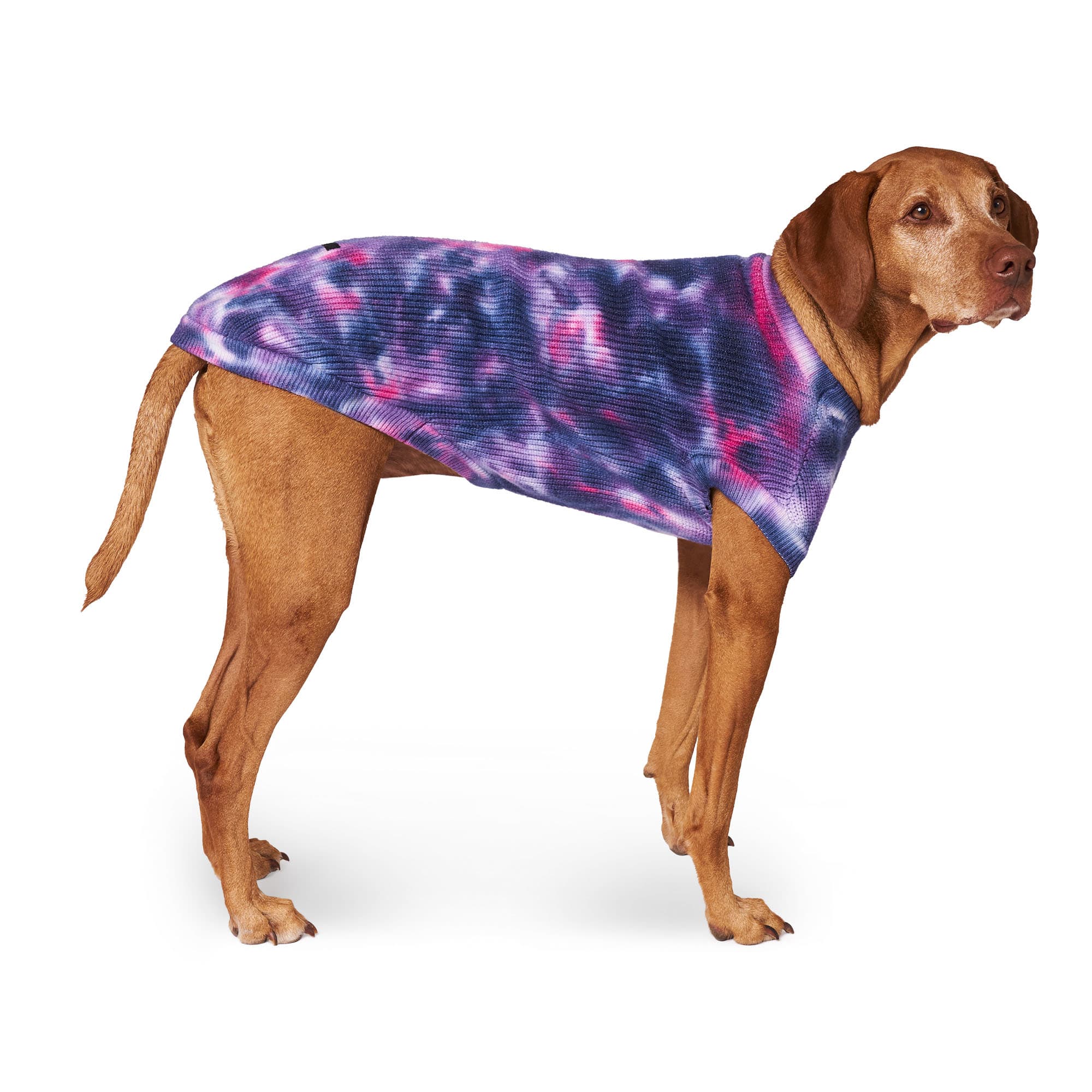 CANADA POOCH Purple Wild Side Dog Sweater， XX-Large