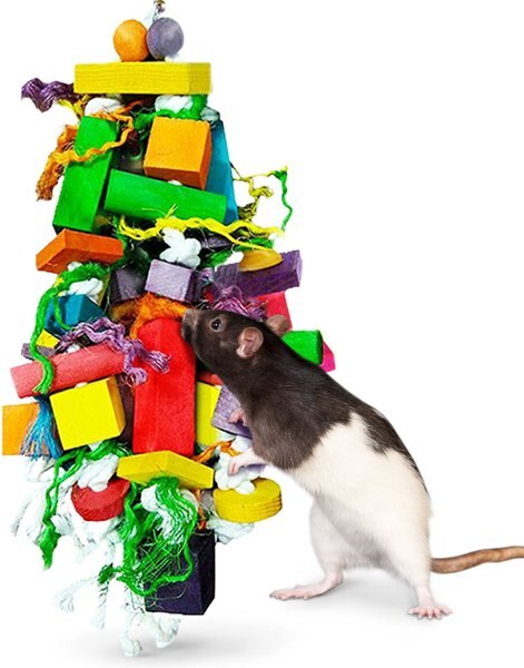 Vila Colorful Hanging Teeth Grinding Rat Guinea-Pig and Small Animal Wooden Chew Blocks， 16-in