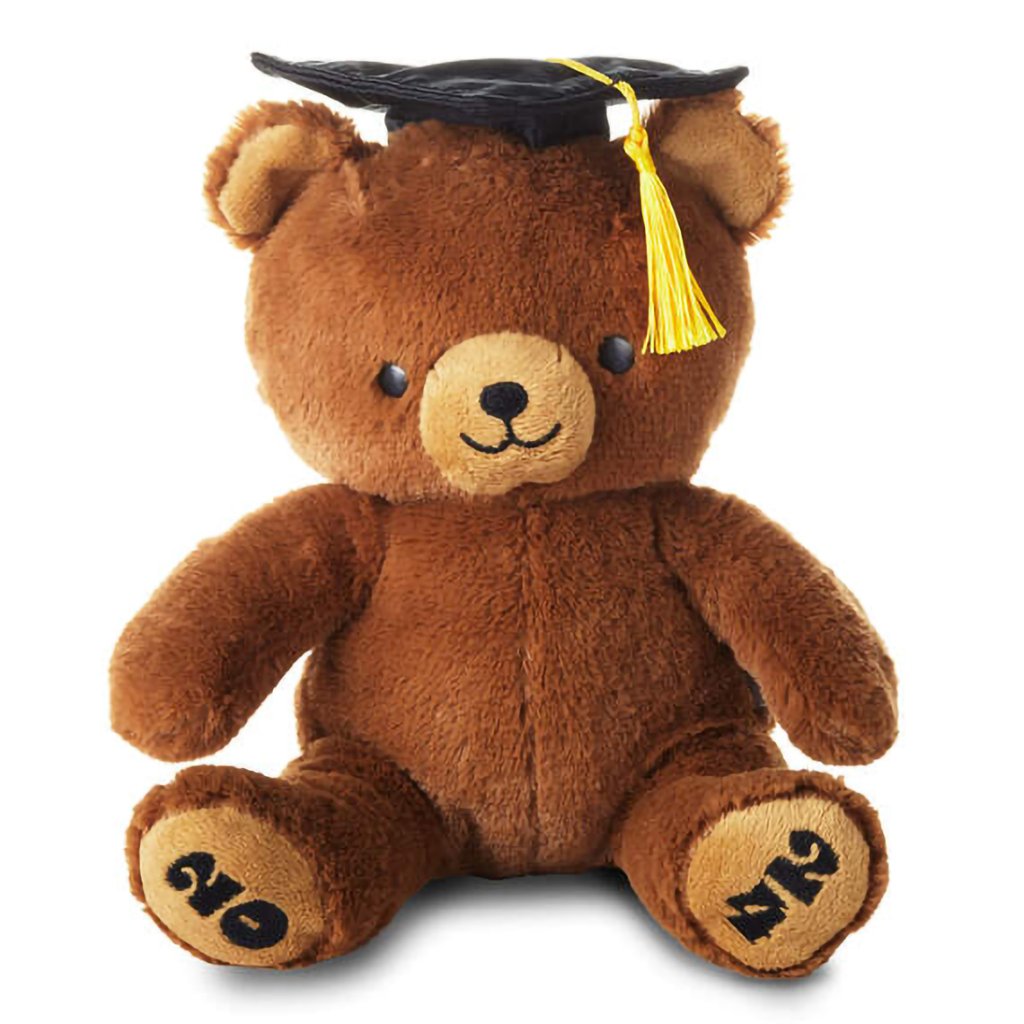 Hallmark  2024 Graduation Bear Plush, 8.5