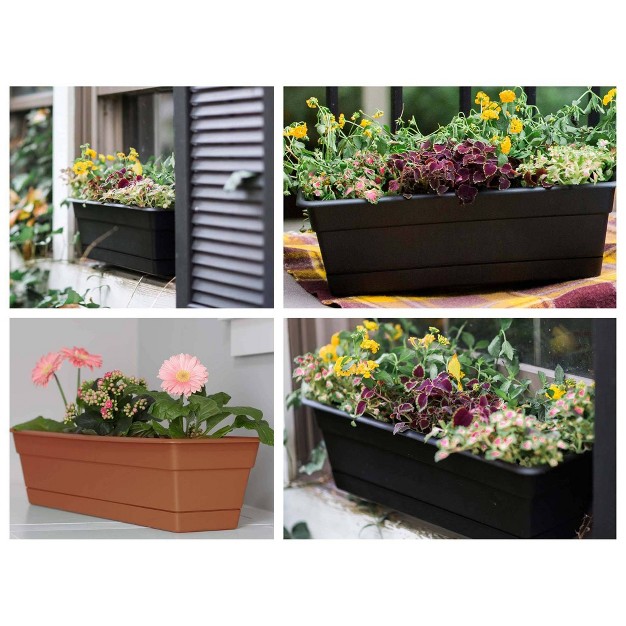 Bloem Rectangular Dura Cotta Window Box