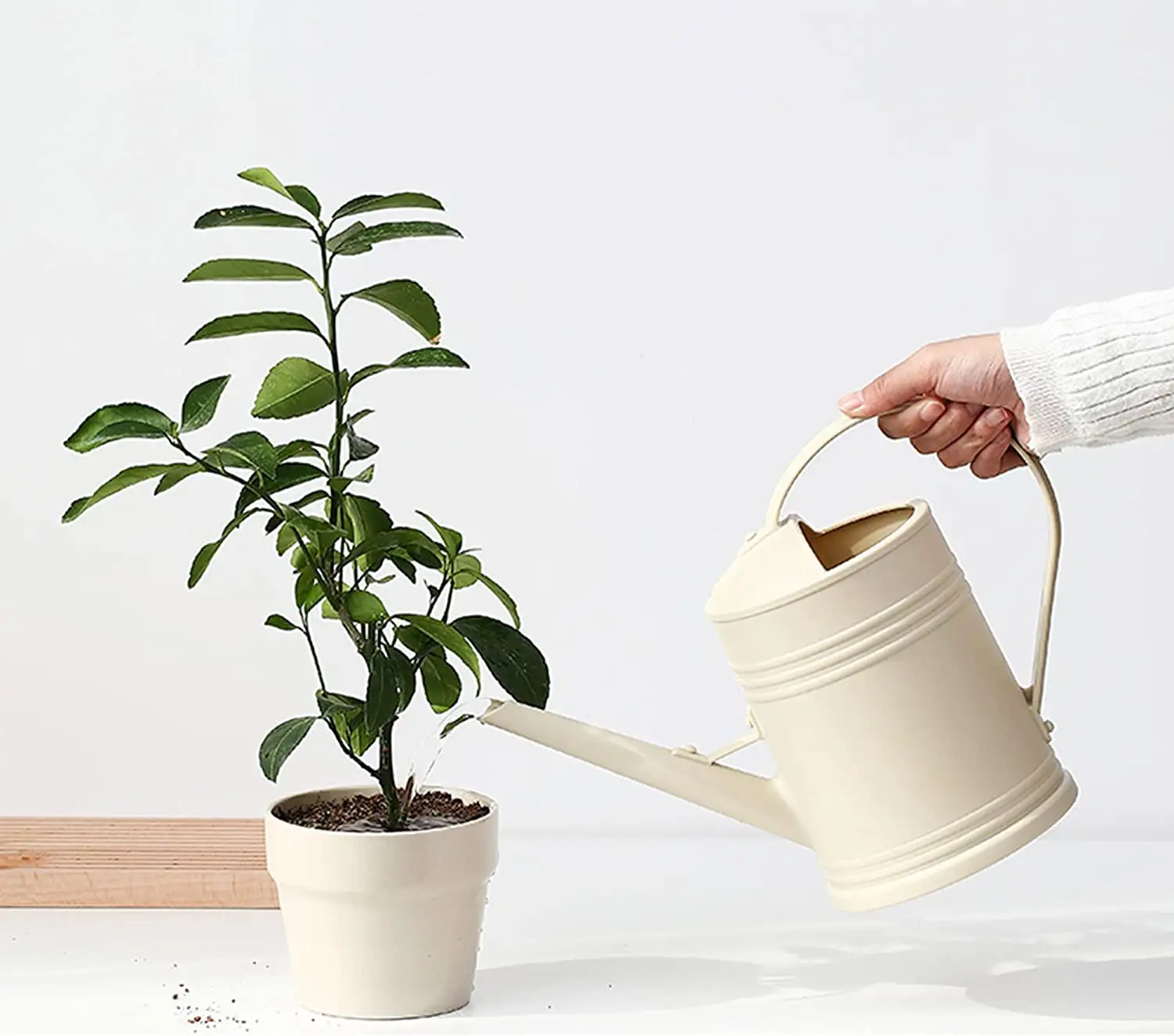 Indoor Plants  Flower Watering Can Water Can for Plants  Indoor Watering Can with Sprinkler