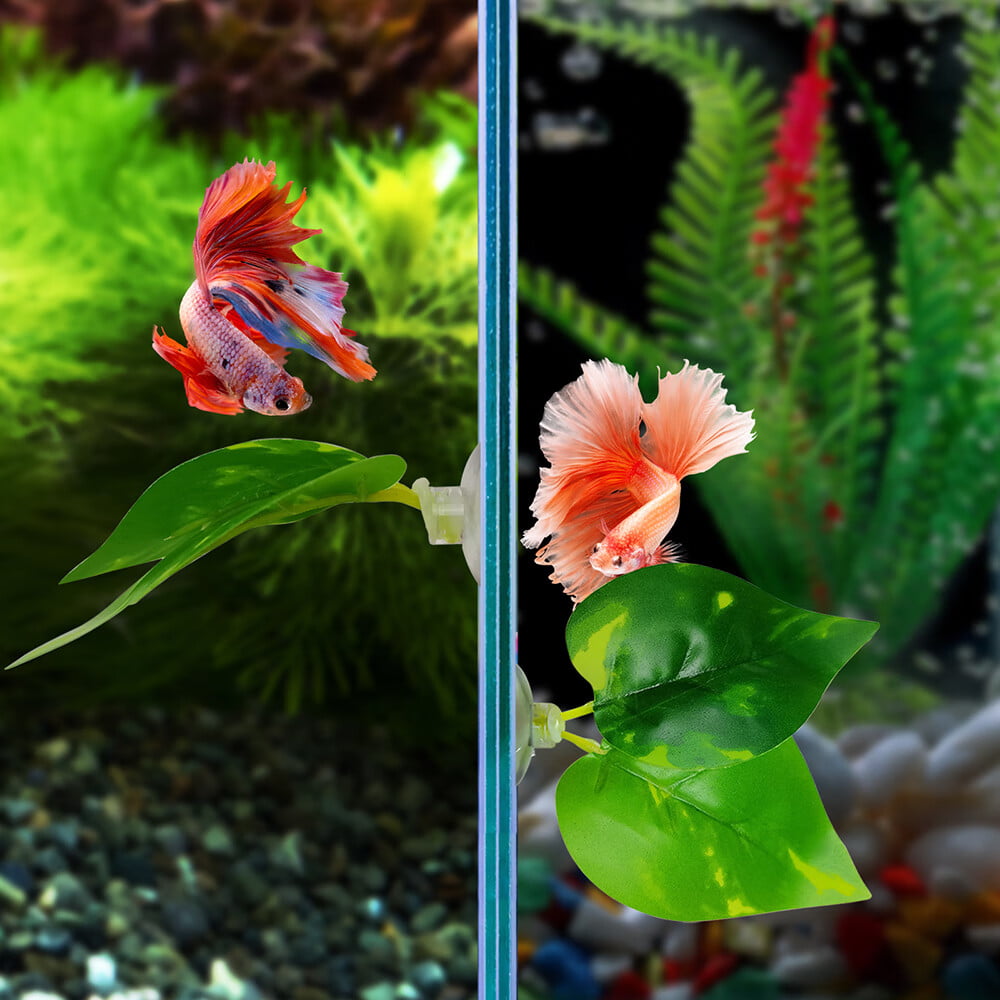 Noodoky Betta Leaf Hammock Silicone Peace Plant Accessories， Beta Fish Leaf Rest Pad Bed， Beta Tank Decorations (2-Pack)