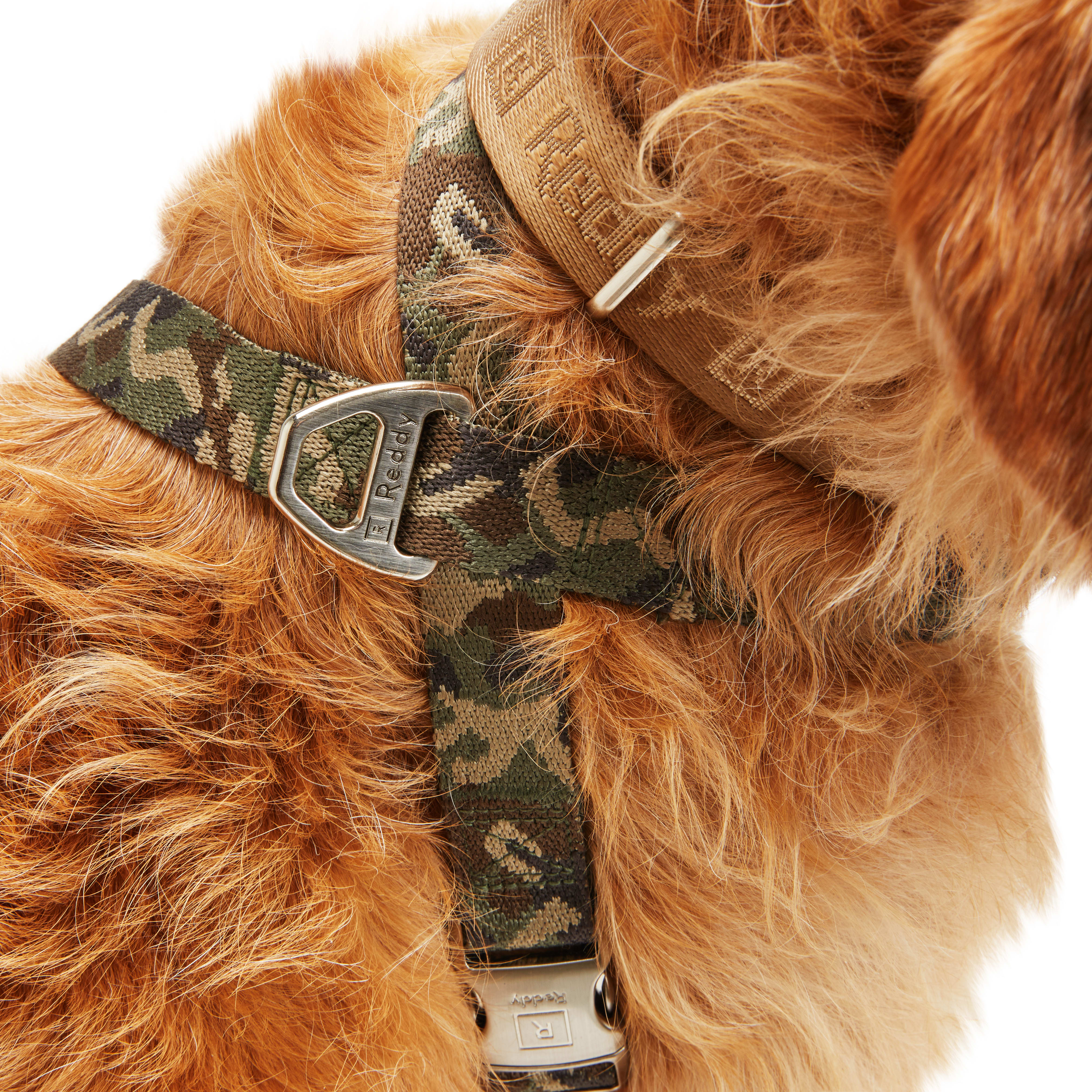 Reddy Green Camo Dog Harness， Medium