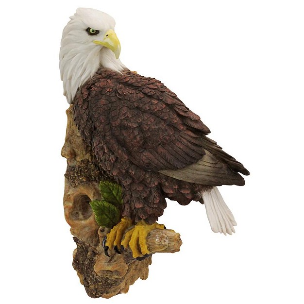 Design Toscano American Bald Eagle Bird Of Prey Wall Sculpture Multicolored