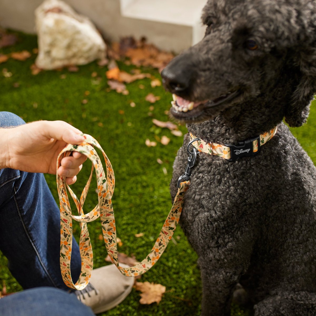 Disney Mickey Mouse Holiday Dog Leash