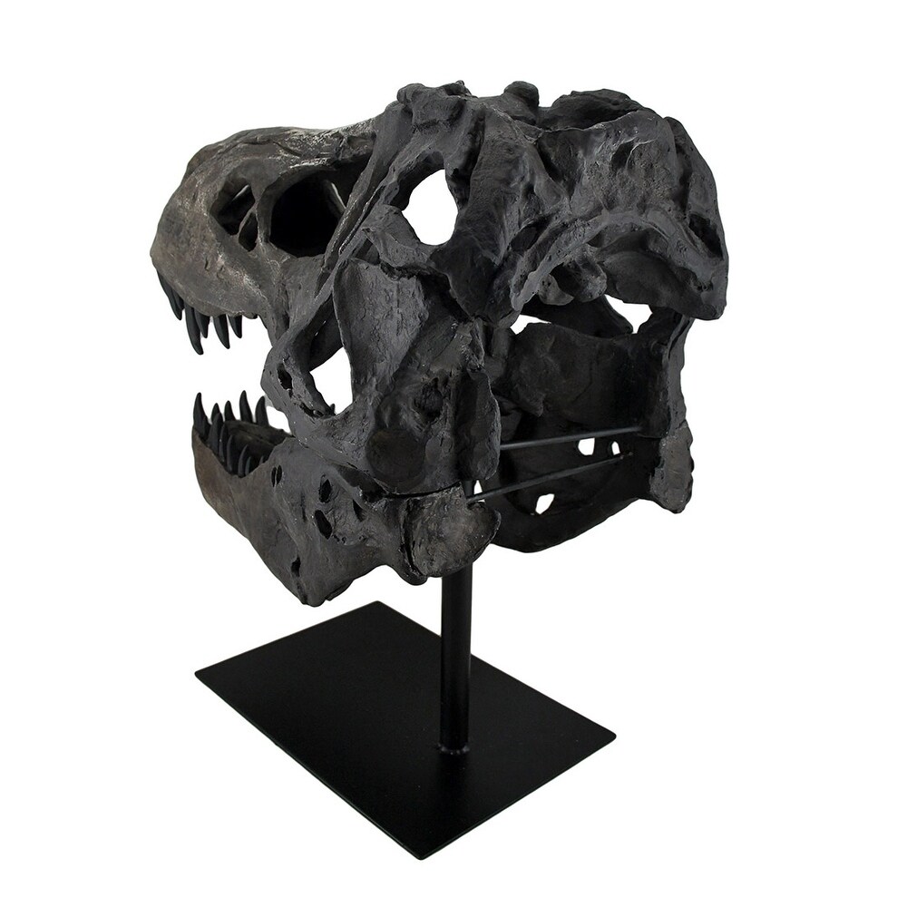 Tyrannosaurus Rex Replica Fossil Skull Statue On Museum Mount T Rex   19 X 18.5 X 12 inches