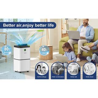 Runesay 25 pt. 1500 sq.ft. Auto Defrost Household Dehumidifier in. White with Drain Hose and Water Tank for Home DHOX25P7135