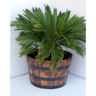 Vigoro 26 in. Jackson Extra Large Brown Wood Barrel Planter (26 in. D x 16.5 in. H) with Drainage Hole HL6642