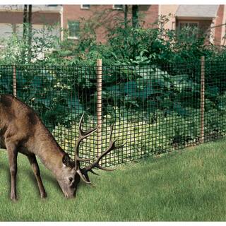 Dalen Deer-X Premium 7'x50' - Heavy Gauge Temporary Fencing DXP-12COM