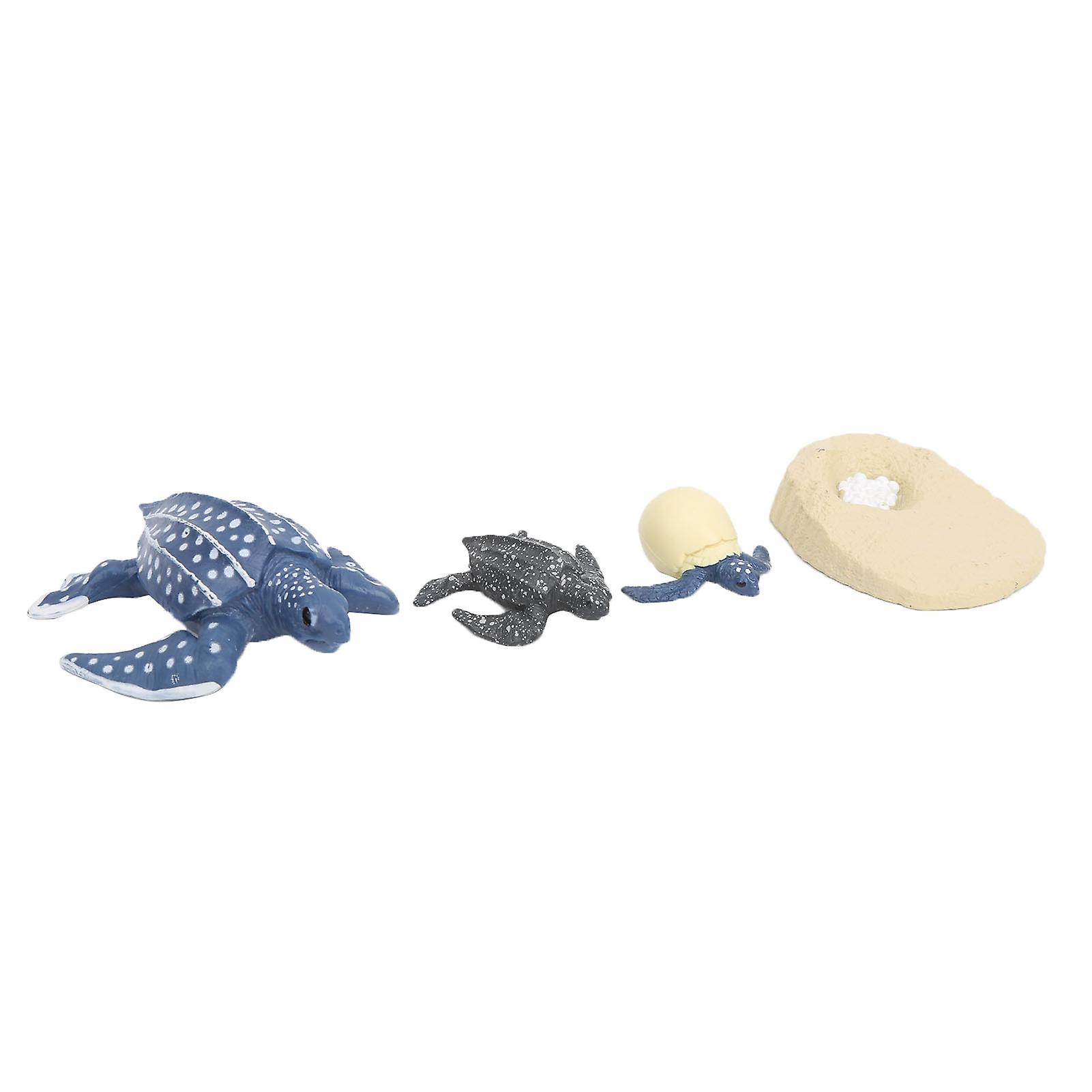 Simulation Animal Model Sea Life Animals Life Cycle Cognitive Model Kid Science Toy2425