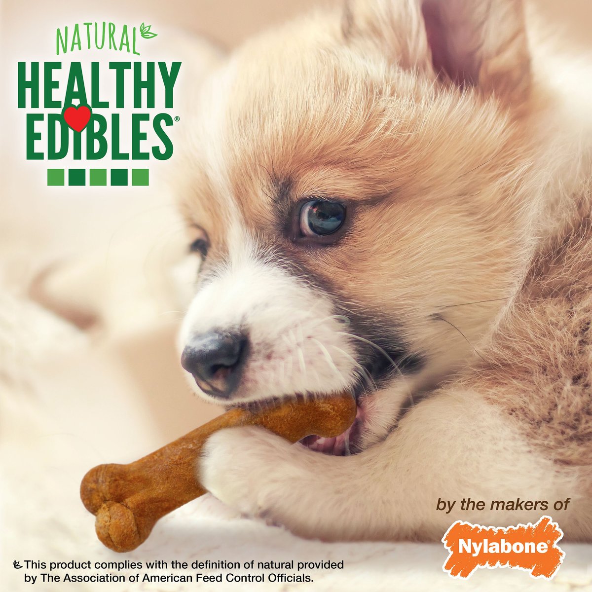 Nylabone Healthy Edibles Puppy Turkey and Sweet Potato Flavor Dog Bone， X-Small， 16 count