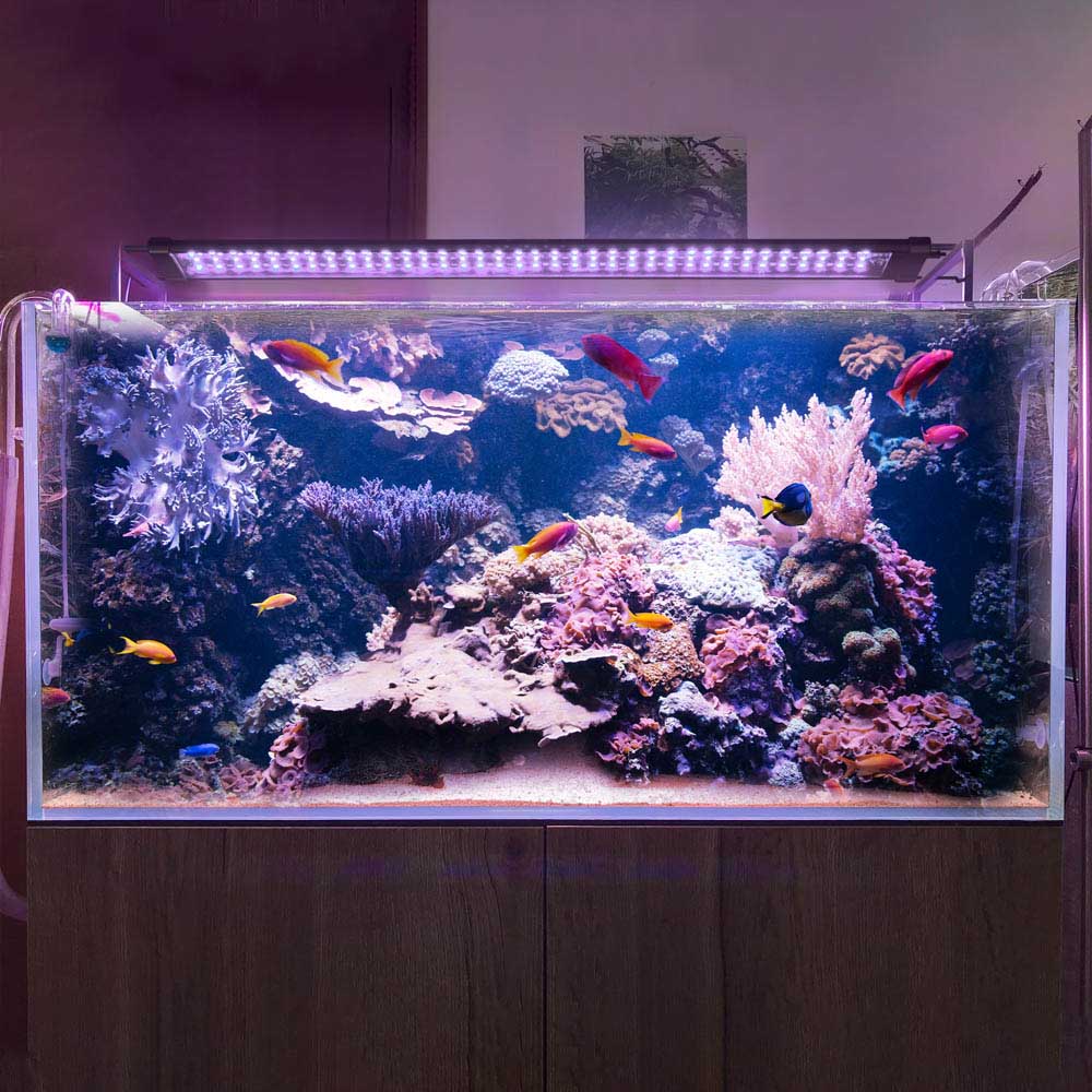 AquaBasik LED Aquarium Light with Timer RC RGBW 32-39