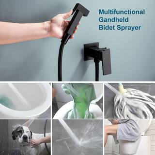 Aurora Decor ALA Non- Electric Stainless Steel Handheld Handle Bidet Sprayer Toilet Bidet Attachment in. Black (Including valves ) SMDHD2B16028B