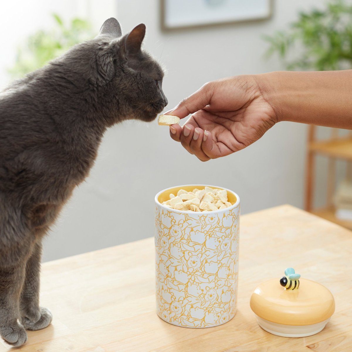 Disney Winnie the Pooh Yellow Ceramic Dog and Cat Treat Jar