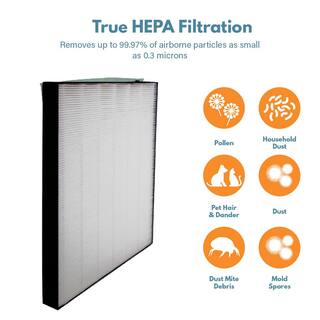 FILTER-MONSTER True HEPA Replacement Compatible with Bissell 2521 Filter for Air400 Air Purifiers (1-Pack) BI-2521-FM1