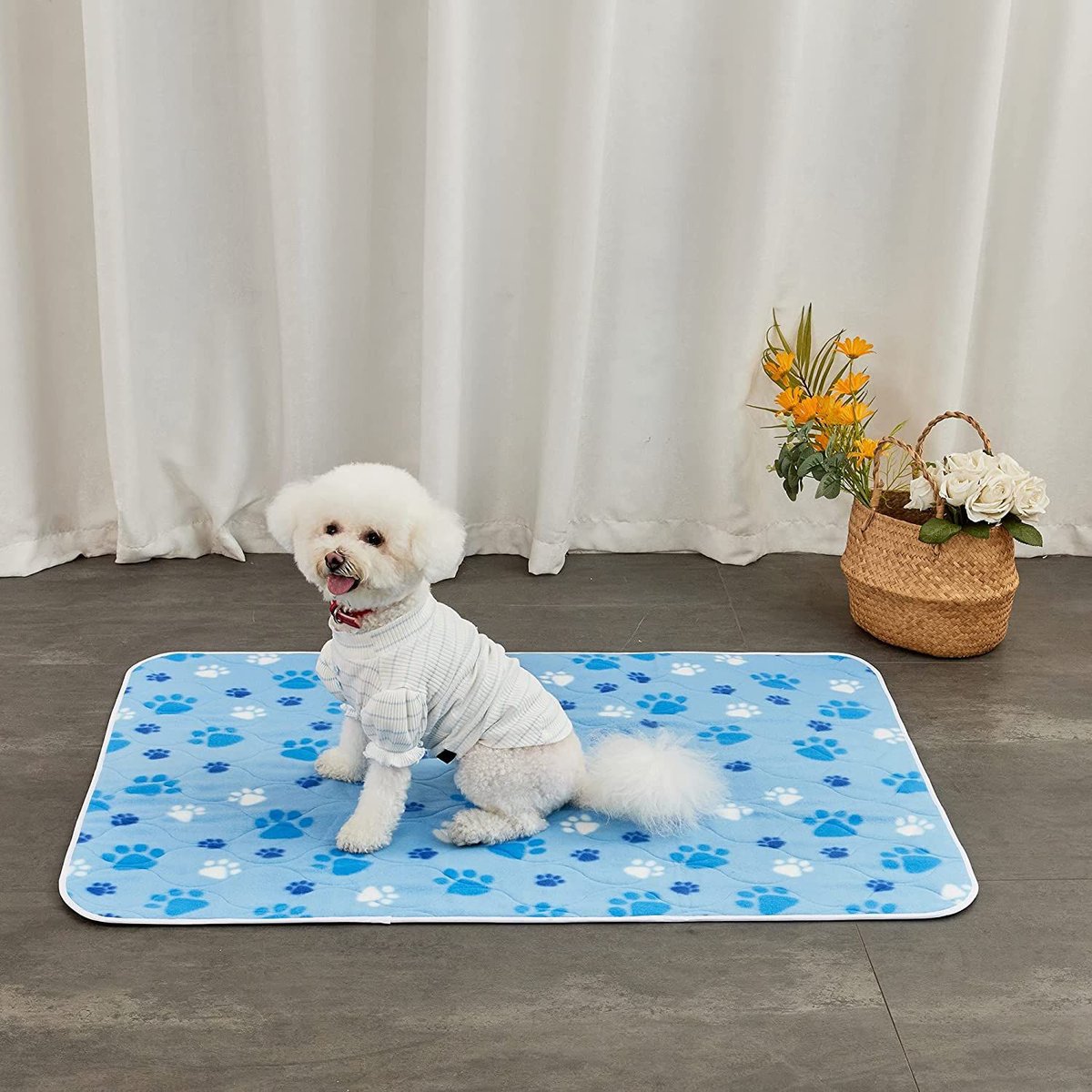 Allisandro Washable Puppy Traning Dog Potty Pads， 2 count