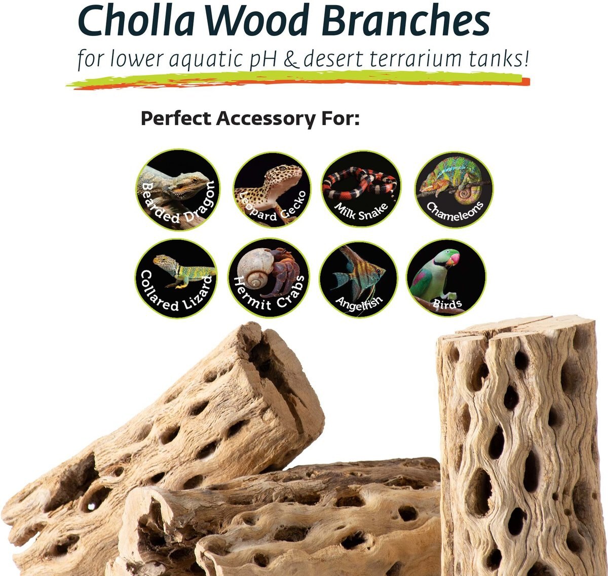 Galapagos Cholla Wood Branches Terrarium Accessory