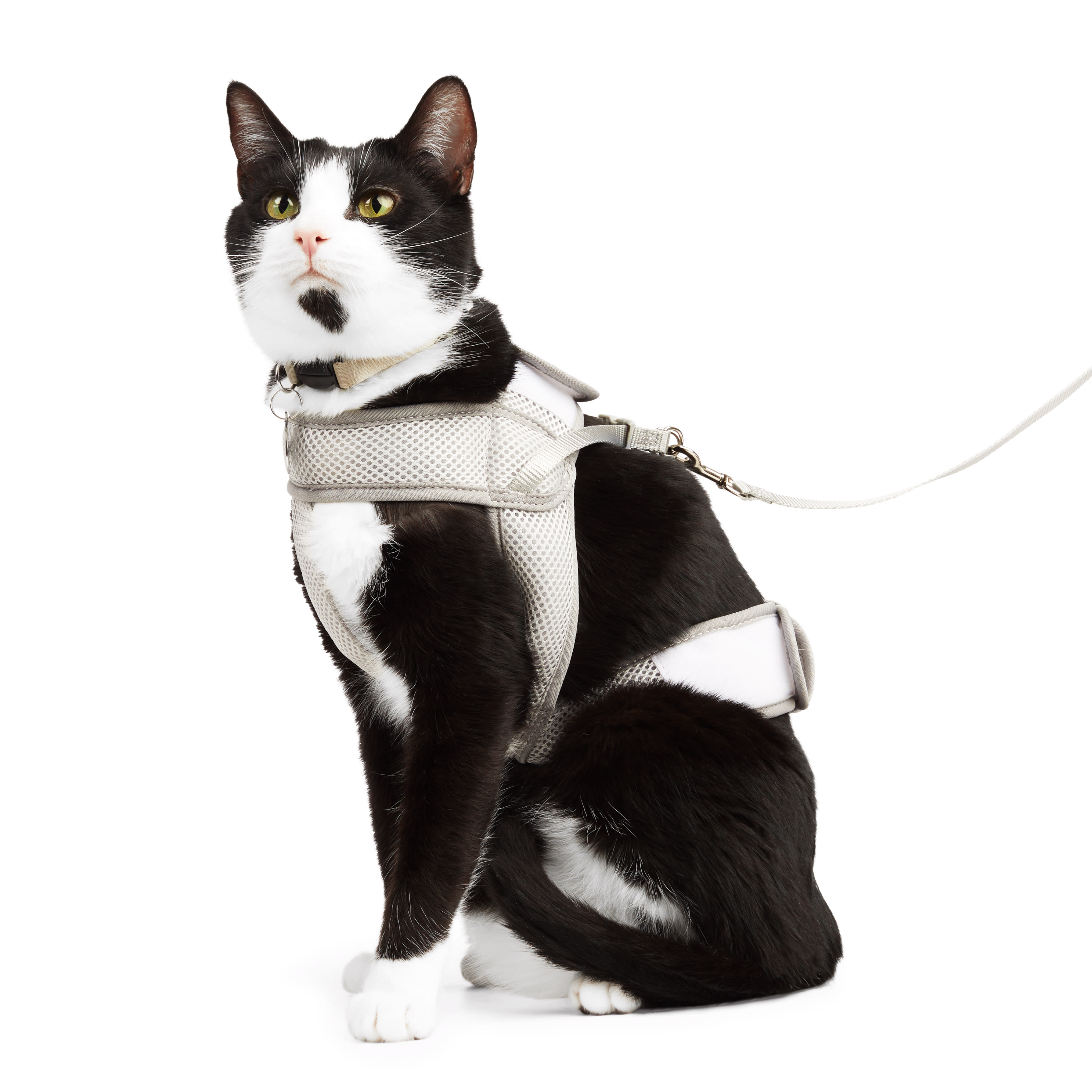 Youly Grey Mesh Safety Cat Harness