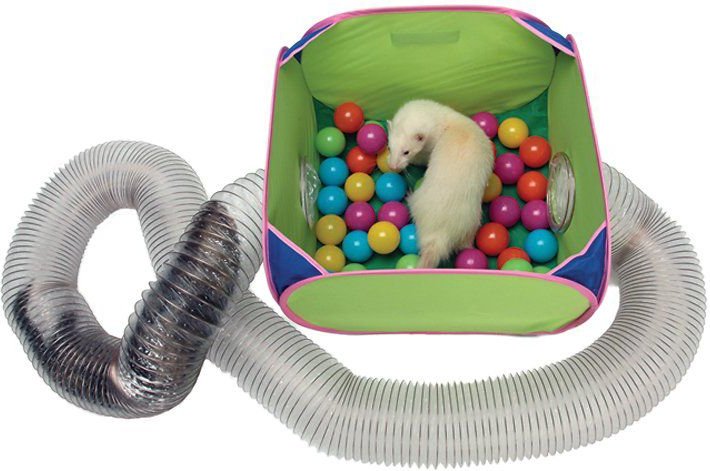 Marshall Pop-N-Play Ferret Ball Pit Toy