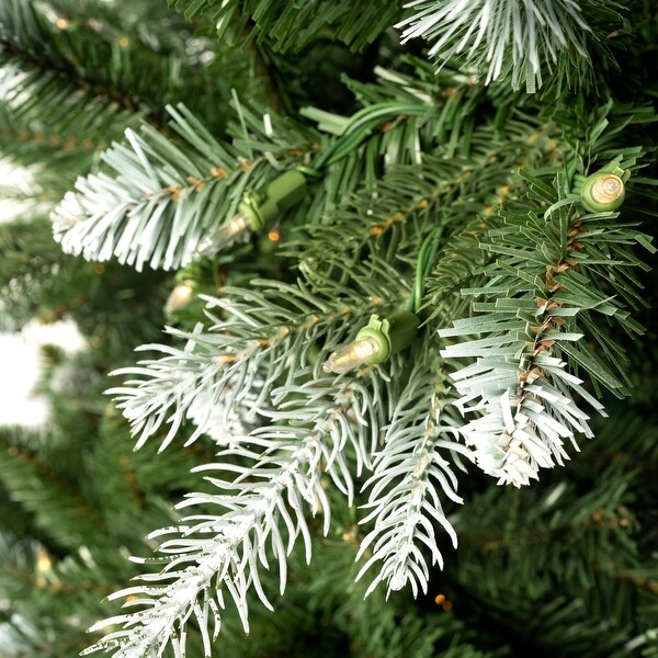 Alberta White Tip Christmas Tree with Lights，Prelit Christmas Tree，Pine Fir with Led Lights，White Painted Tips