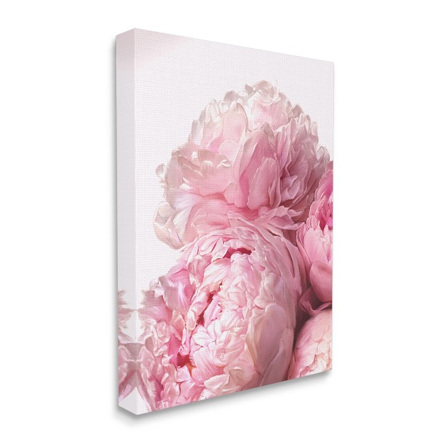 Stupell Industries Blush Pink Peonies Florals Blooming Over White