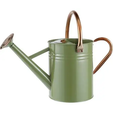 Iron Indoor Home Watering Can With Grey And Copper Color Premium Quality Metal Watering Can Gardening Tool Supplies