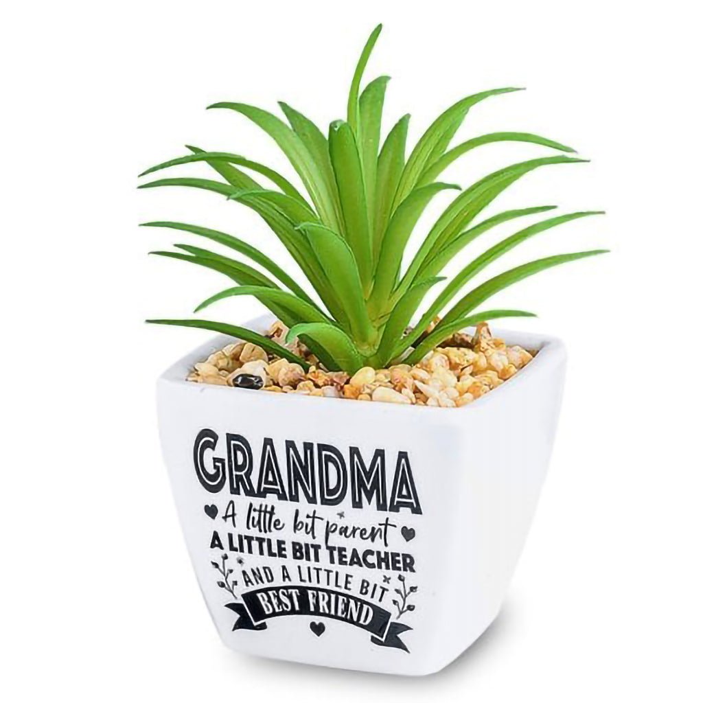 H & H Gifts  Succulent - Grandma