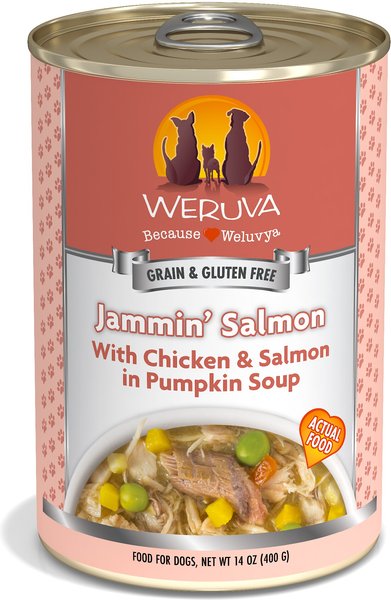 Weruva Jammin' Salmon with Chicken and Salmon in Pumpkin Soup Grain-Free Canned Dog Food