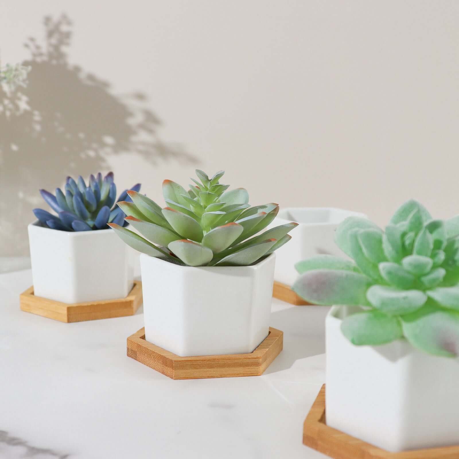 6 Pack White Geometric Hexagon Ceramic Planter Pots, Bamboo Tray Base w/ Drainage Hole, Cactus and Succulent Planters With Removable Bottom 3