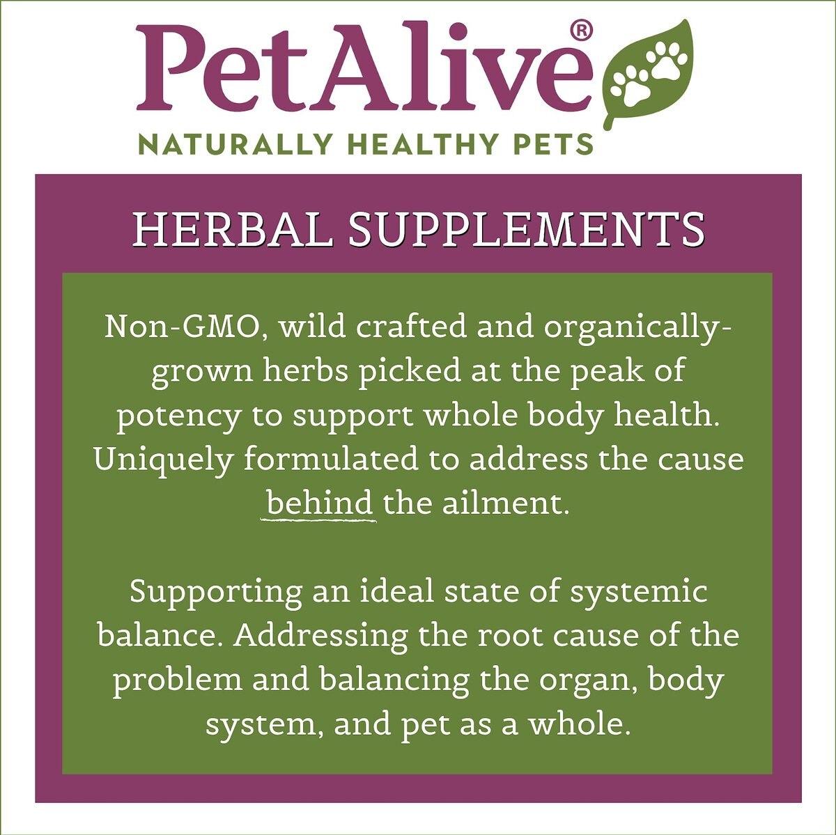 PetAlive Kidney Support Dog and Cat Supplement