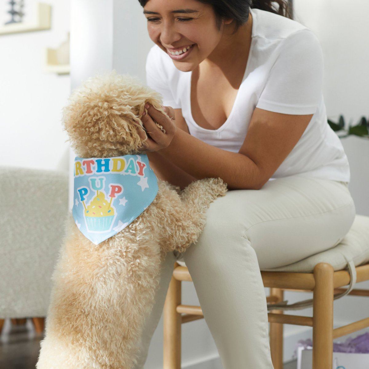 Frisco Birthday Pup Dog and Cat Bandana